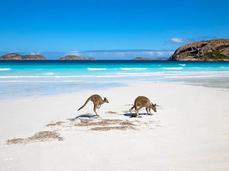 The 20 best beaches in Australia