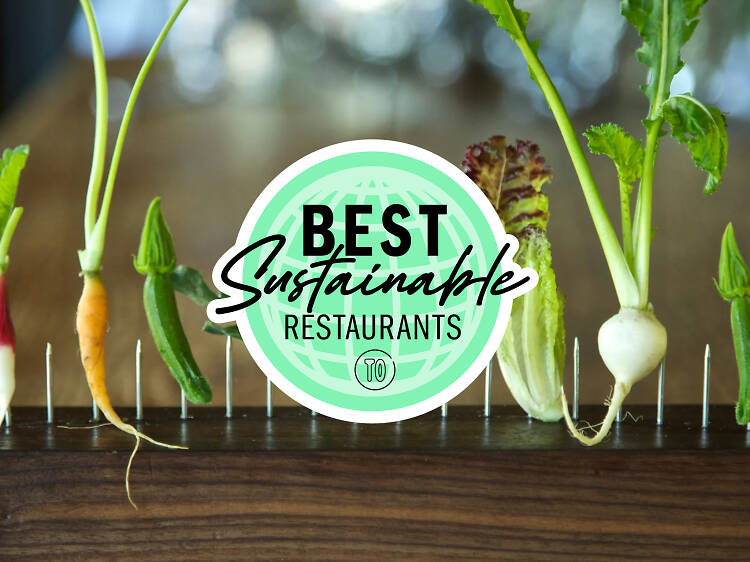 The best sustainable restaurants in New York City