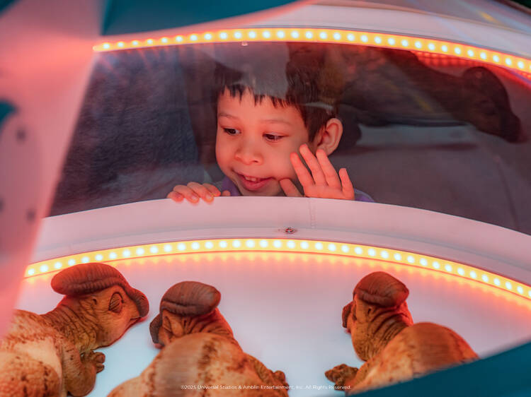 Things to do this May half-term