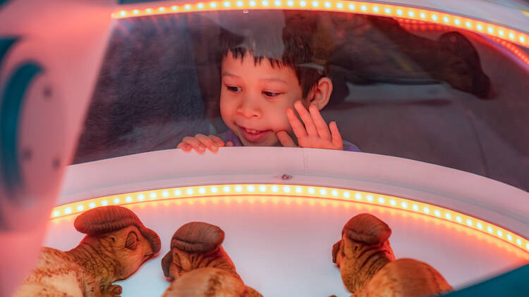 Things to do this May half-term