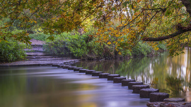 The best scenic walks near London
