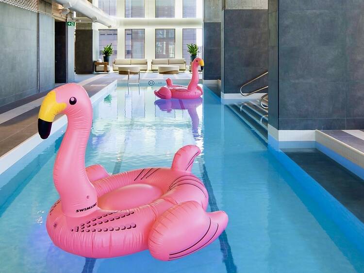 Book a stay at Montreal's newest design hotel