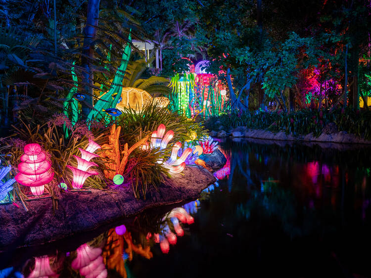 The best things to do in Miami for locals and tourists