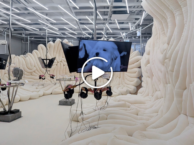 Weird Sensation Feels Good: The World of ASMR